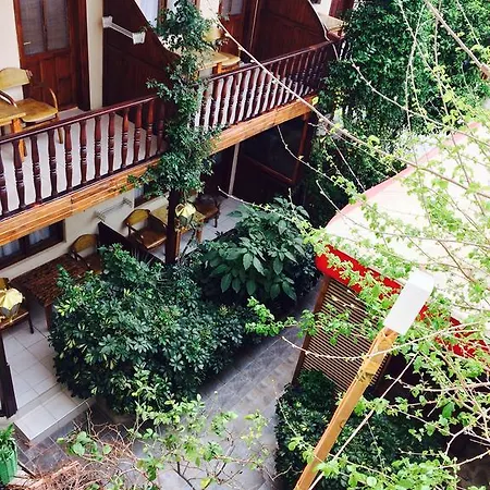 Sato