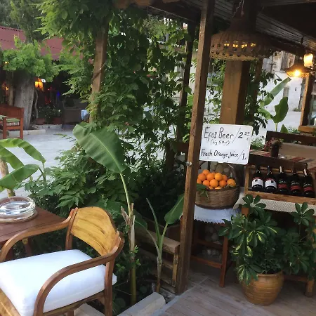 Sato