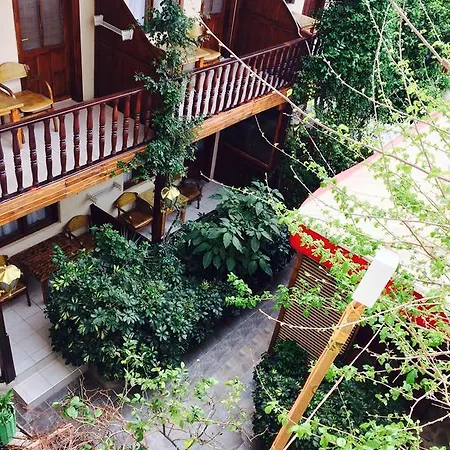 Sato